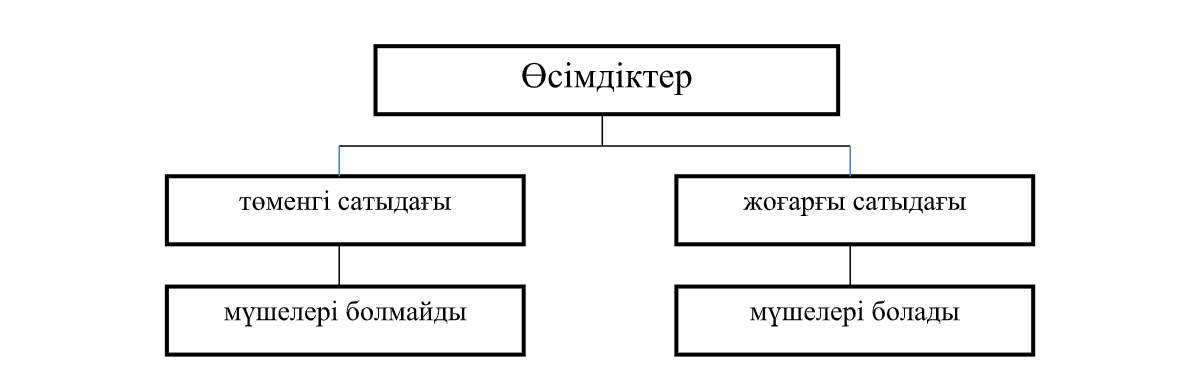 Жалаңаш семіз әйелдер мен еркектер